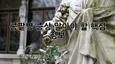 콩팥병 증상: 알아야 할 핵심 정보