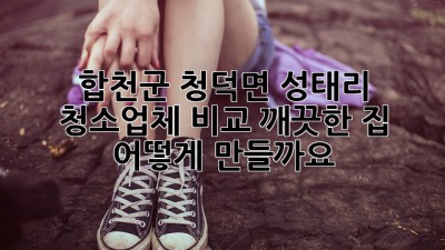 합천군 청덕면 성태리 청소업체 비교: 깨끗한 집, 어떻게 만들까요?